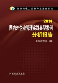能源与电力分析年度报告系列：2013中国电力供需分析报告