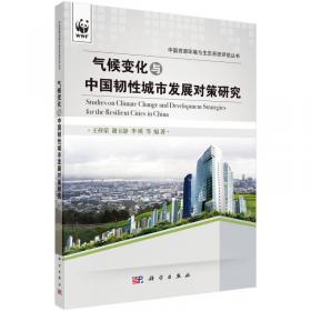 转型中国：生态化视角与战略