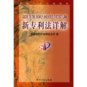 中国专利法详解（缩编版）