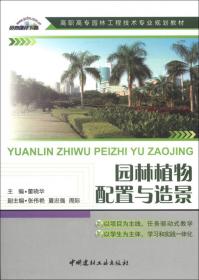 Visual FoxPro6.0中文版程序设计(新编21世纪高等学院计算机系列规划教材)