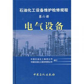 石油化工设备维护检修规程（第8册）：电站设备
