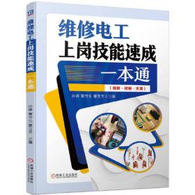 维修电工技能实战训练：入门版——上岗之路