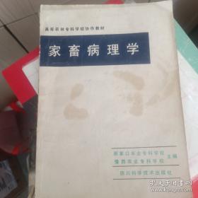 全国高职高专公共英语教材：高职高专英语考试教程3