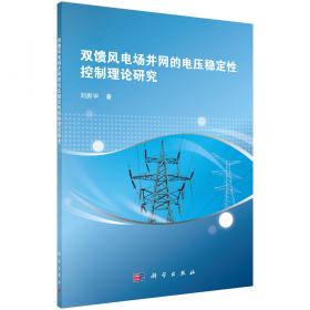 双馈风力发电系统设计与并网运行