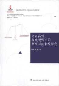 中国社会主义司法制度构建：公正高效权威视野下的民事司法制度研究