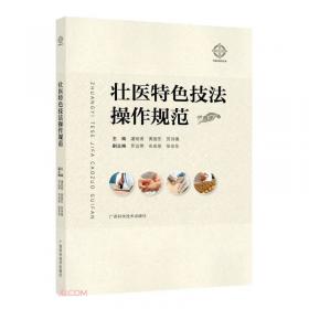 壮医病证诊疗规范/中国东盟传统医药文库