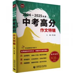 中考领航九年级数学——金视点书系