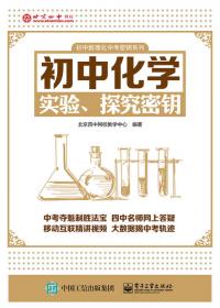 初中数理化中考密钥系列：初中物理电学密钥