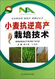 小麦抗逆高产栽培技术