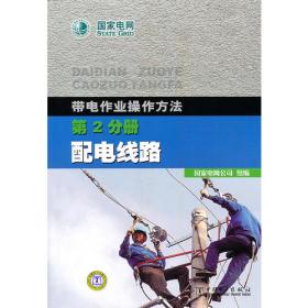 《青藏电力联网工程 专业卷 西藏中部220kV电网工程建设》