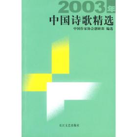 2004年中国诗歌精选