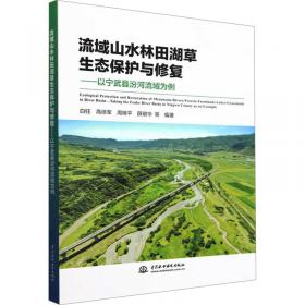 流域水文过程数值解析——以黄土高原北部六道沟流域为例