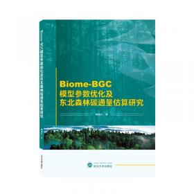 Big C++中文版