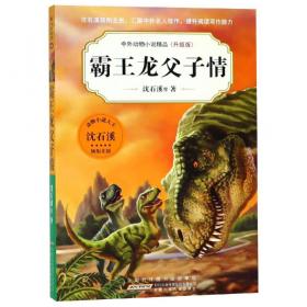 一只猎雕的遭遇：中国动物小说大王 : 沈石溪文集