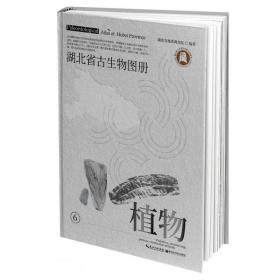 湖北省古生物图册(3软体动物)(精)