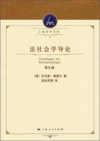 上海法学文库：风险社会下医疗安全的刑法保护