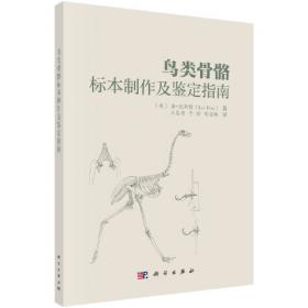 鸟类大百科——自然观察探索百科系列丛书