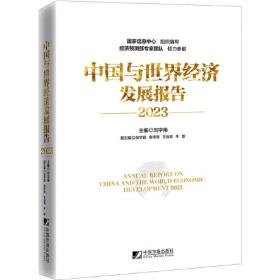 全球贸易分析模型：理论与实践（第2版）