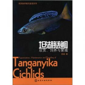 观赏鱼养殖与鉴赏系列：七彩神仙鱼