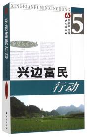 中国民族地区经济发展报告（2013）