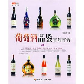 中国精品酒庄游