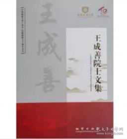 王成太极（下卷）