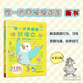 第一印象:成功第二次机会