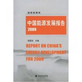 中国能源发展报告2010