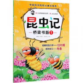 昆虫记·桥梁书版6：王牌飞行员蜻蜓