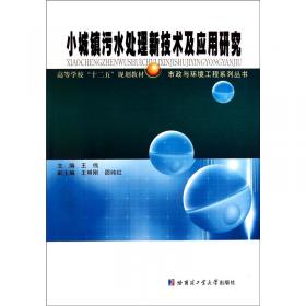 市政与环境工程系列丛书：可持续发展导论