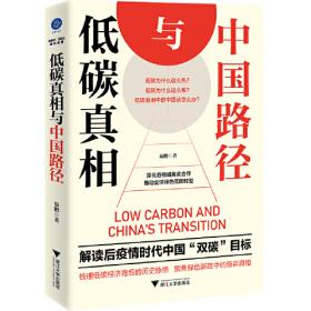 低碳城市建设投融资体系研究