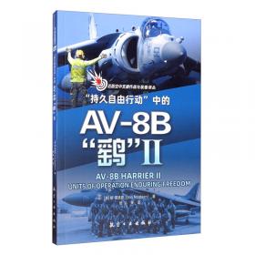 “持久自由行动”中的A-10“雷电”2（2002-2007）