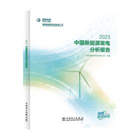 能源与电力分析年度报告系列 2021 国内外能源互联网发展分析报告