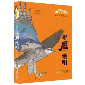 动物小说大王沈石溪野生动物救助站·孔雀斗舞