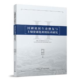 河湖综合治理实践（浙水设计-水利技术丛书 ）