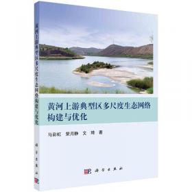 黄河流域蓝皮书：黄河流域生态保护和高质量发展报告（2020）