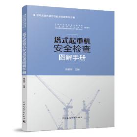 塔式起重机、施工升降机安全使用100问