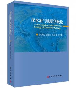 中国含油气裂谷盆地构造