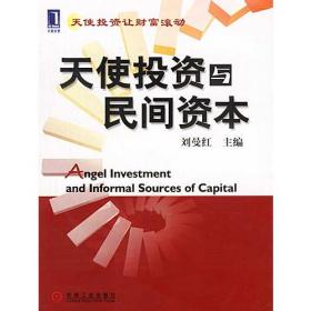 天使投资系列丛书·创业投资圣经：天使投资理论与实践