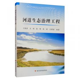 河道内流量增量法技术指南（生态流量技术指南丛书）