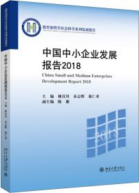 中国中小企业发展机制研究