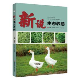 新说文解词：中国人最易误解的文字、词语及典故（特价）