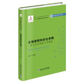 生物质能资源清洁转化利用技术/21世纪可持续能源丛书