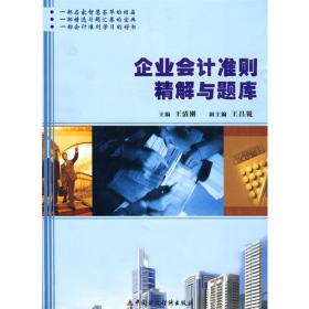 中南财经政法大学会计·财务系列教材：会计制度设计