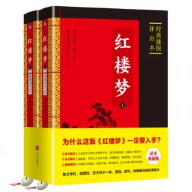 金声玉振系列 华夏古典小说分类阅读大系：红楼梦