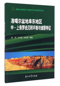 准噶尔盆地玛湖凹陷二叠-三叠系砂砾岩储层微观特征