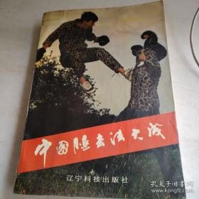 武术散打技法