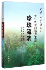 中华长江文化大系·仙风道骨：长江流域的道教与人格