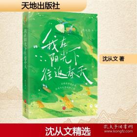 沈从文典藏文集：永远学不尽的人生-从文自传