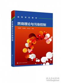 燃烧的岛群(上下)：宋宜昌二战军史小说系列